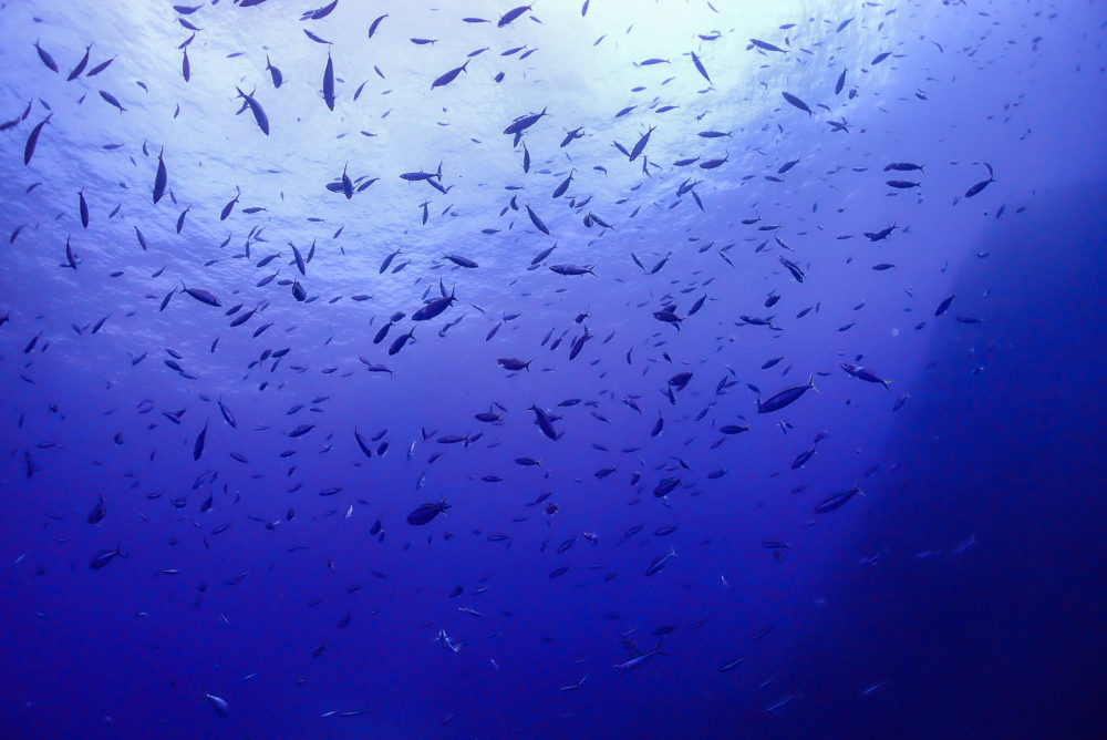 海ちゃんページ 水口 海のコーディネート｜JEANS FACTORY（ジーンズファクトリー）公式