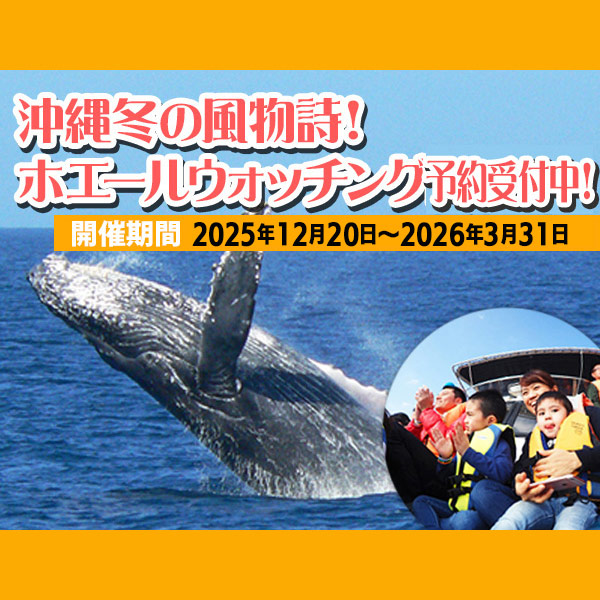 沖縄ホエールウォッチング